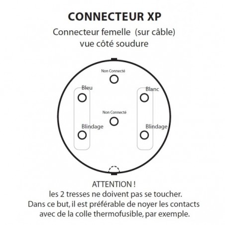 Schéma Connecteur XP