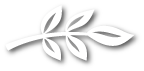 plante